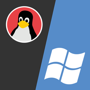 Nos VPS Windows et Linux